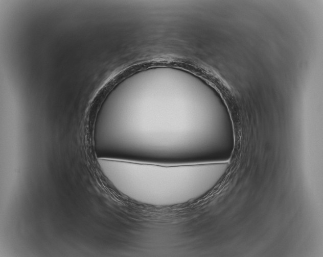 X0000116891256200912220957