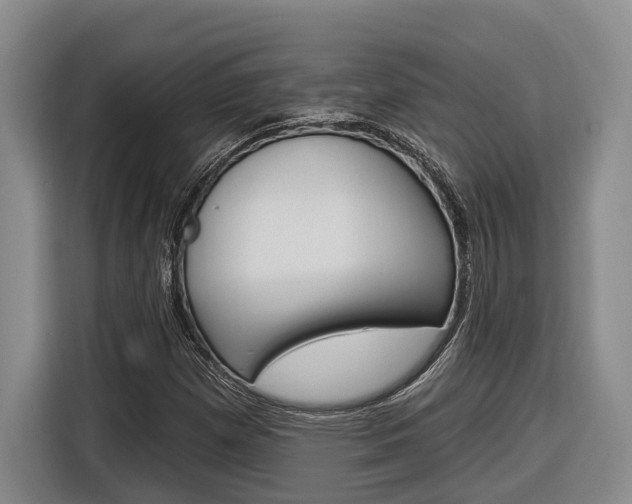 X0000116891257200912220957