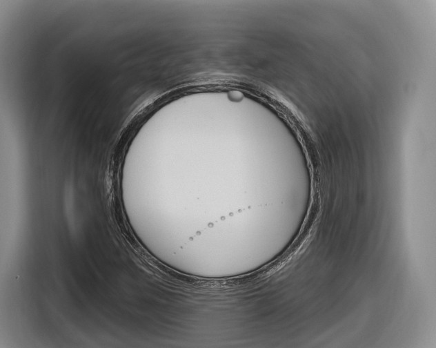 X0000116891259200912220957