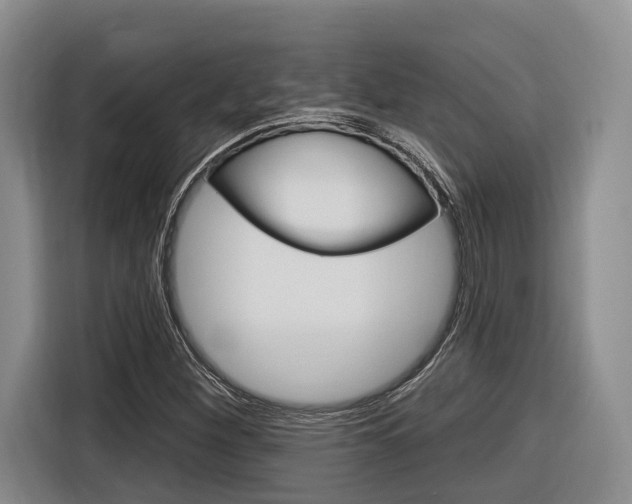 X0000116891260200912220957