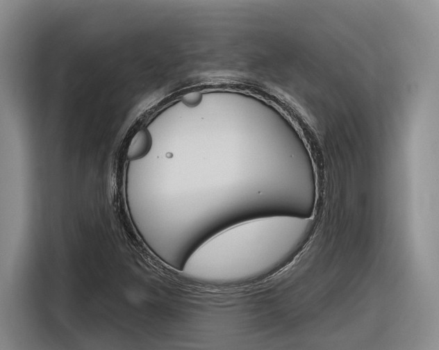 X0000116891261200912220957