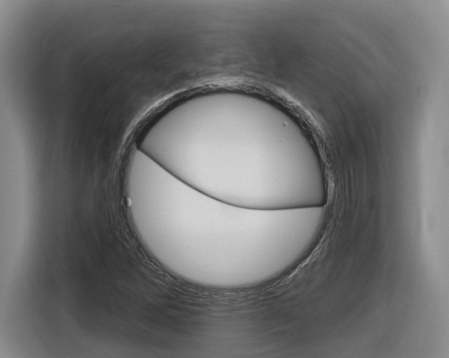 X0000116891262200912220957