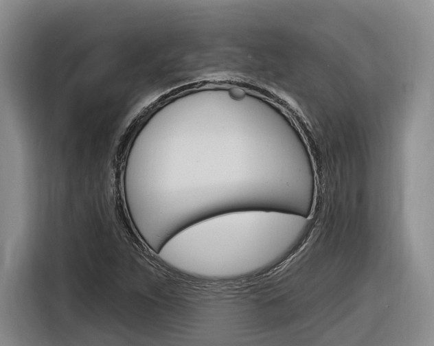 X0000116891263200912220957