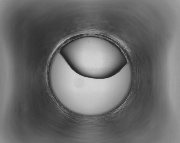 X0000116891264200912220957