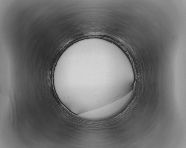 X0000116891265200912220957