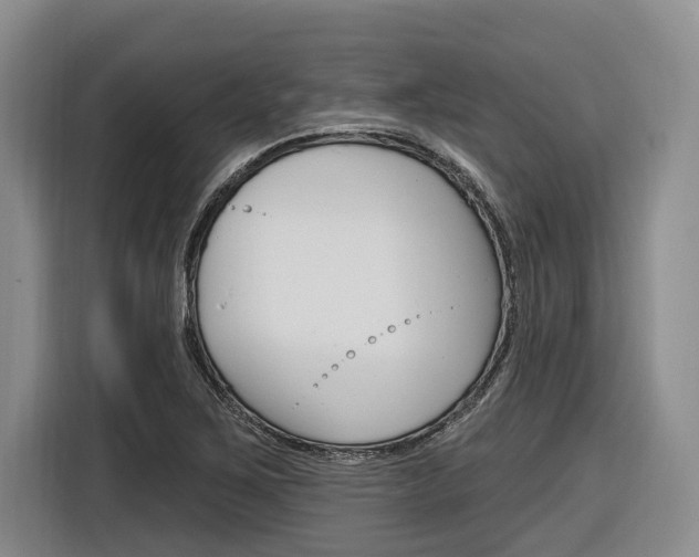 X0000116891267200912220957