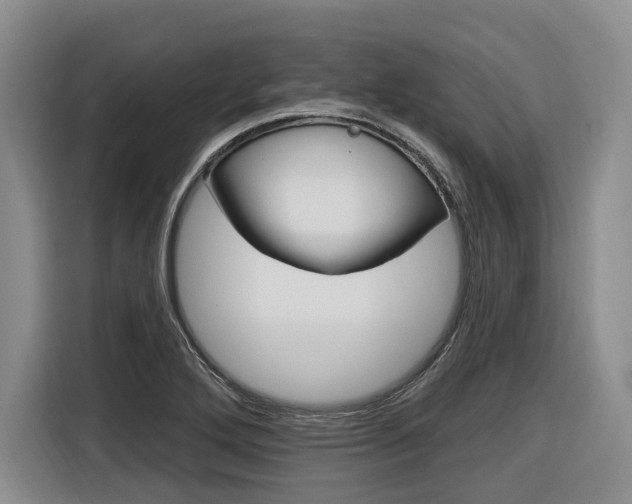 X0000116891272200912220957