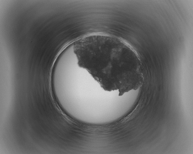 X0000116891274200912220957