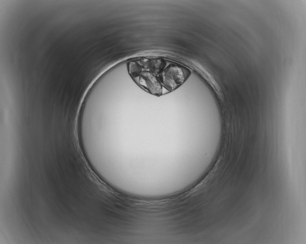 X0000116891276200912220957