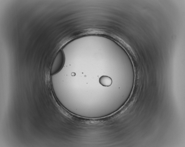 X0000116891281200912220957