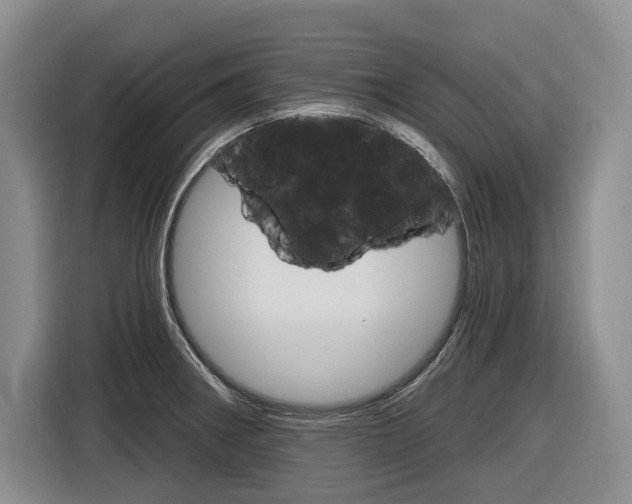 X0000116891282200912220957