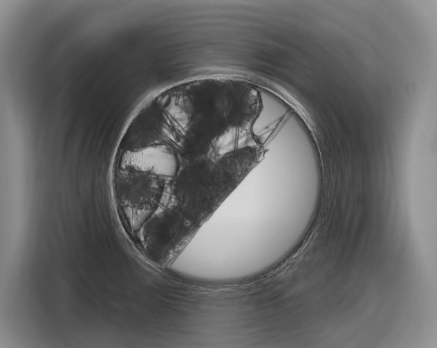 X0000116891283200912220957