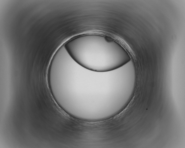 X0000116891284200912220957