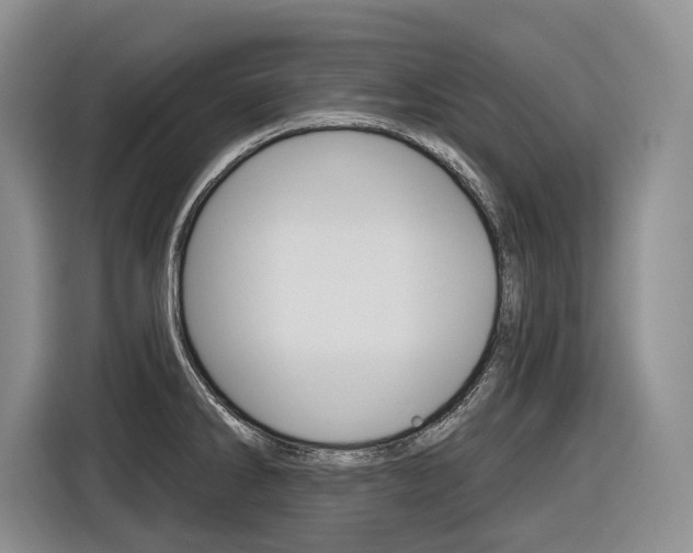 X0000116891286200912220957