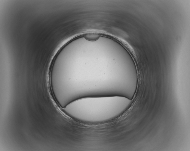 X0000116891287200912220957