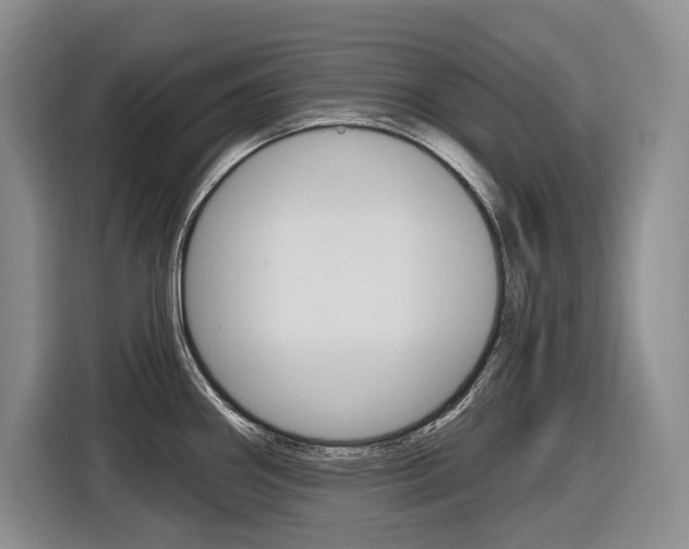 X0000116891290200912220957
