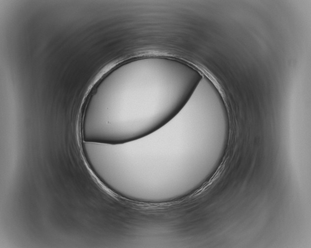 X0000116891293200912220957