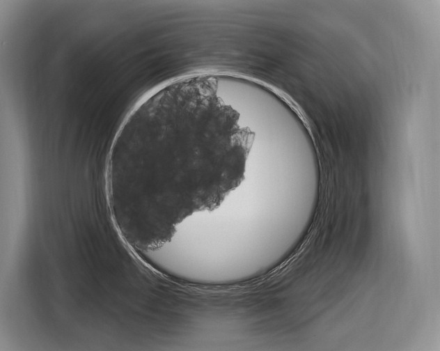 X0000116891295200912220957