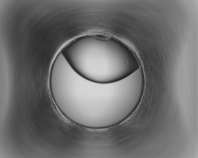 X0000116891296200912220957