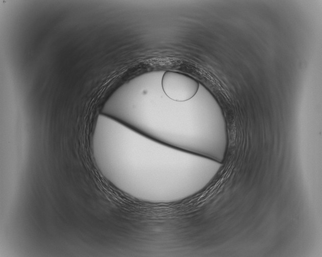 X0000116891297200912220956