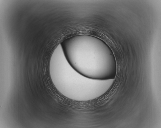X0000116891298200912220956