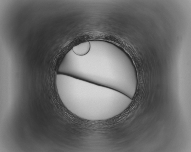 X0000116891301200912220956