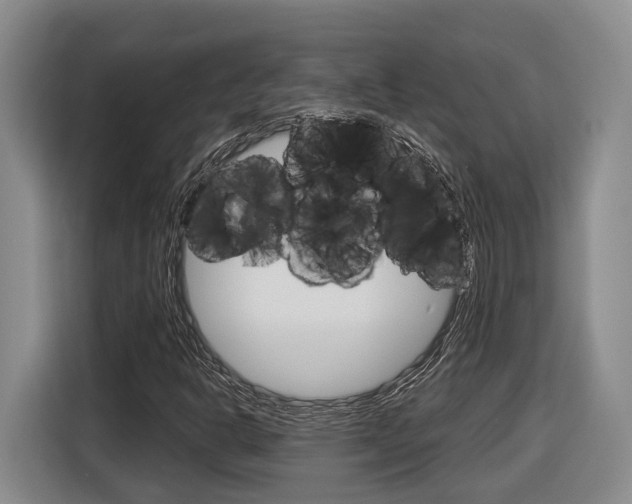 X0000116891302200912220956
