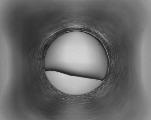 X0000116891303200912220956