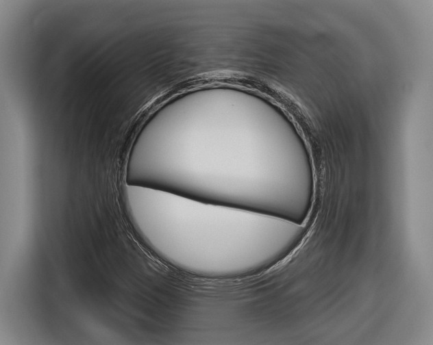 X0000116891305200912220956