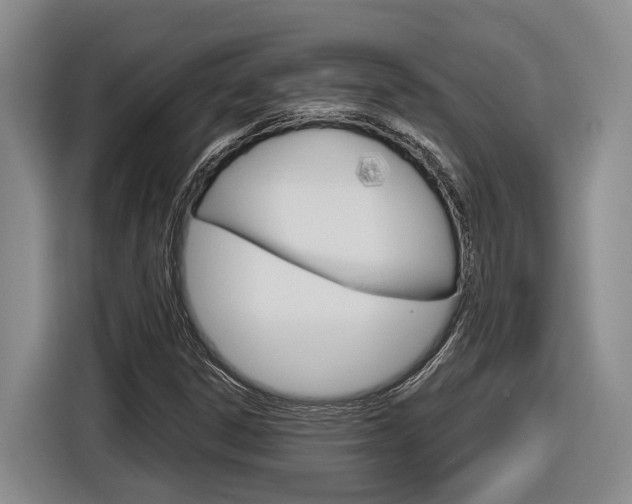 X0000116891306200912220956