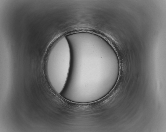 X0000116891309200912220956