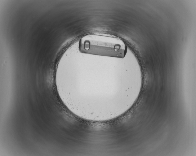 X0000116891314200912220956
