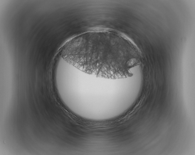 X0000116891315200912220956