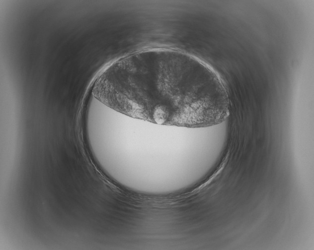 X0000116891317200912220956