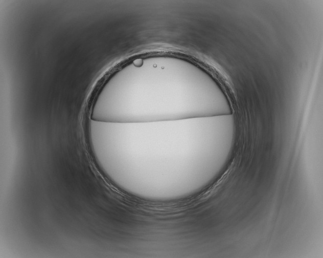 X0000116891318200912220956