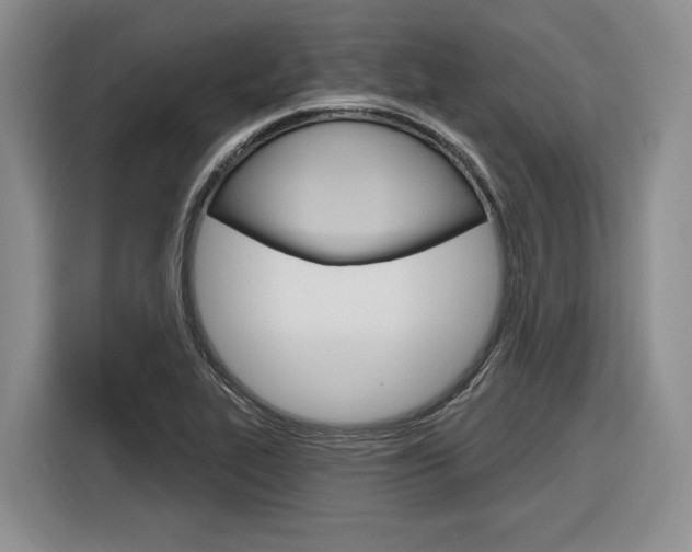X0000116891319200912220956