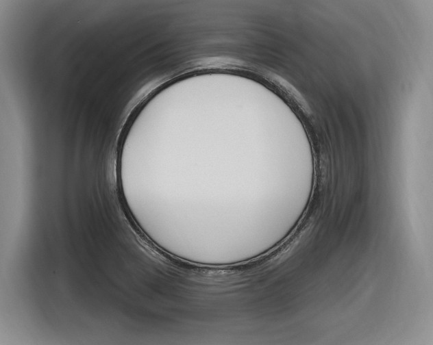 X0000116891322200912220956