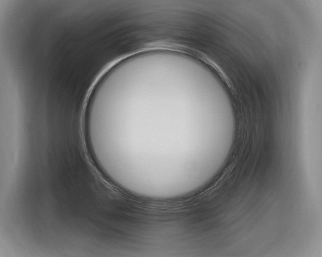 X0000116891323200912220956