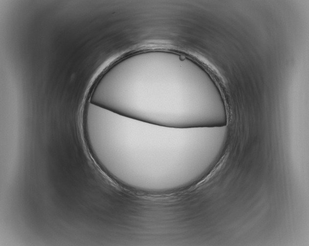 X0000116891325200912220956