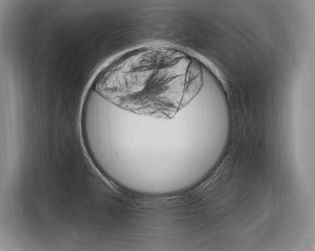 X0000116891327200912220956