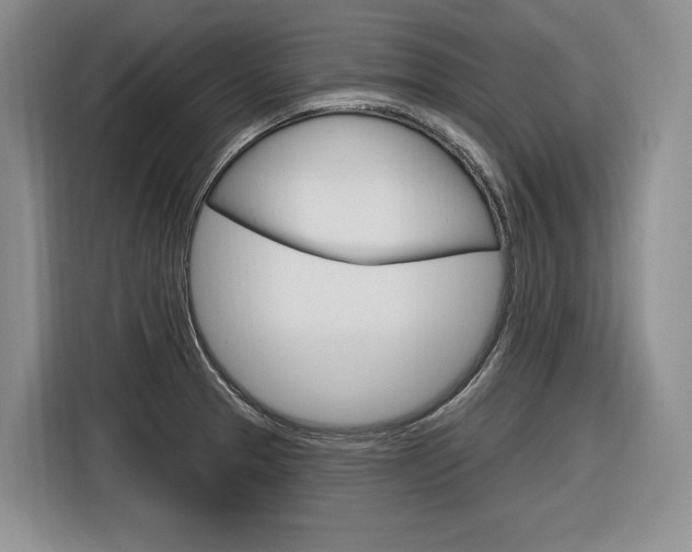 X0000116891329200912220956