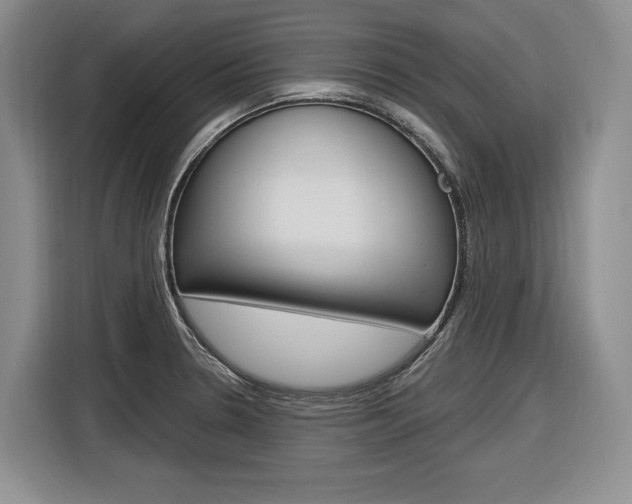 X0000116891330200912220956