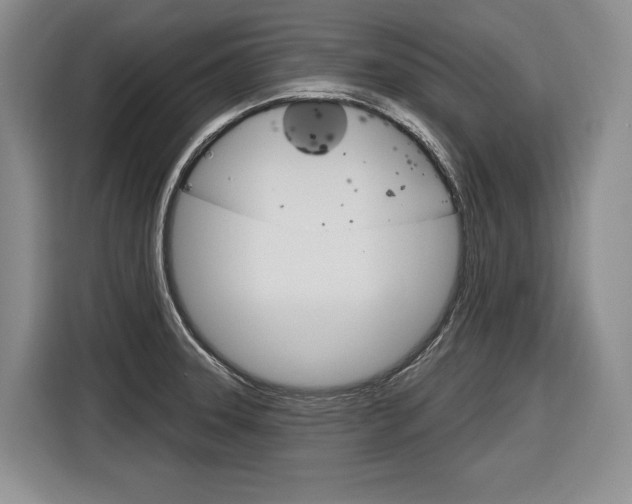 X0000116891331200912220956