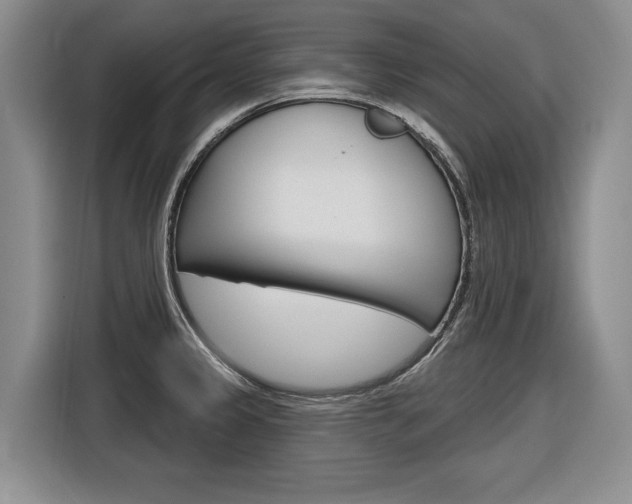 X0000116891333200912220956