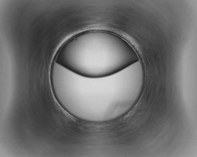 X0000116891334200912220957