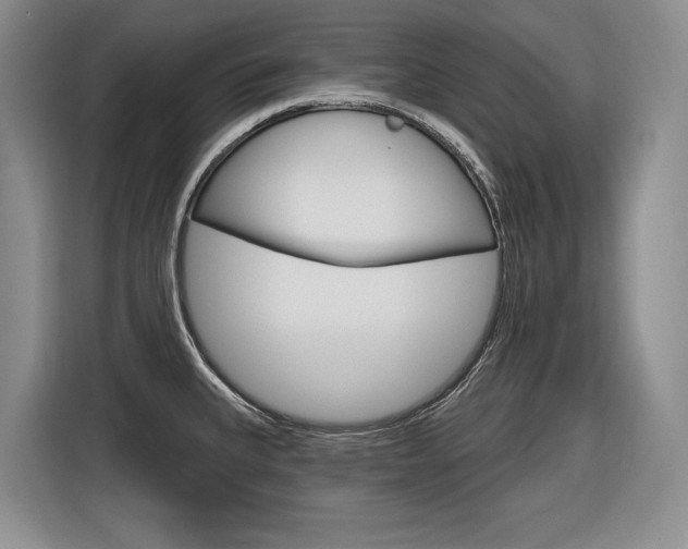 X0000116891335200912220957