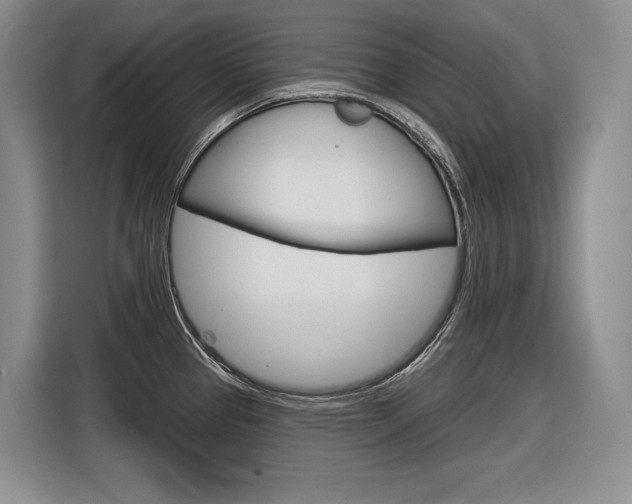X0000116891337200912220957
