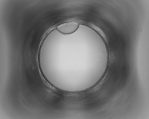 X0000116891338200912220957