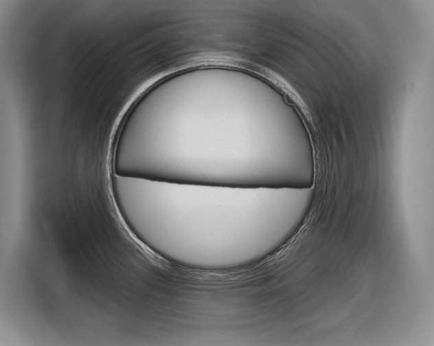 X0000116891339200912220957