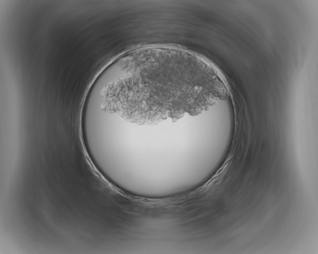 X0000116891341200912220957